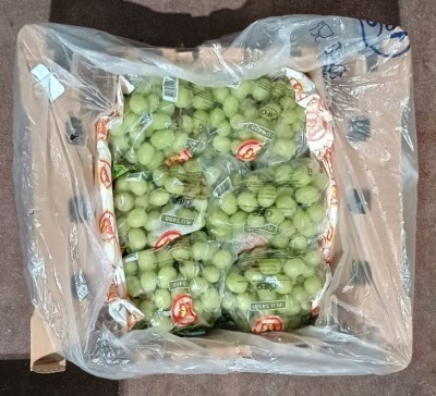 Foto Uva Bianca Varietà Sweet Globe Calibro j Origine Chile Marchio Zeyco 3